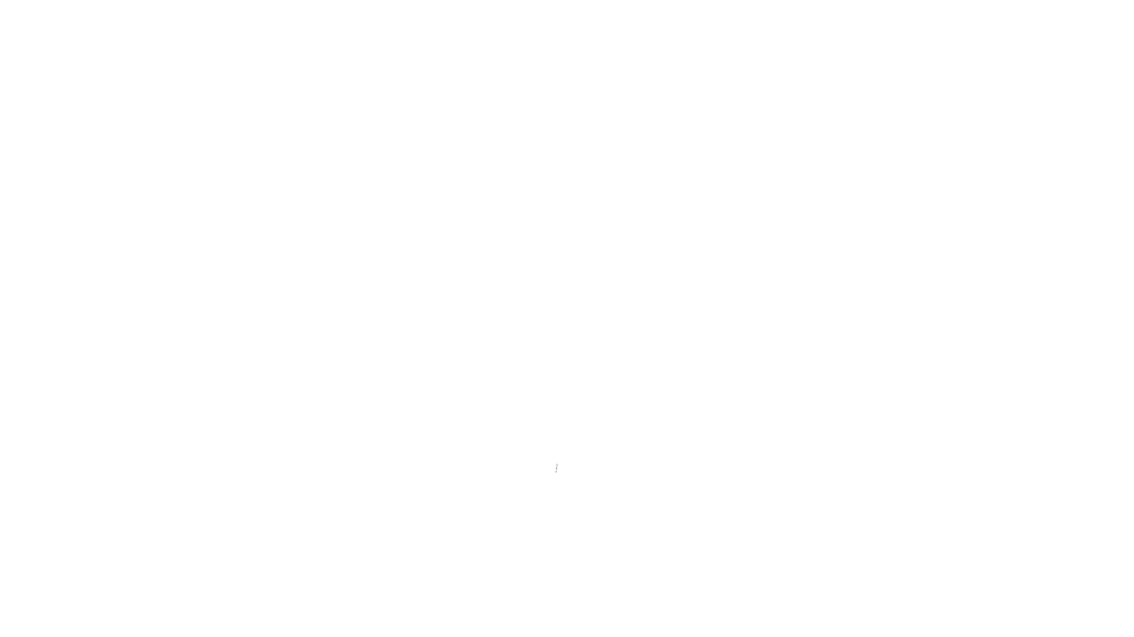 ReiseDachs Logo weiß